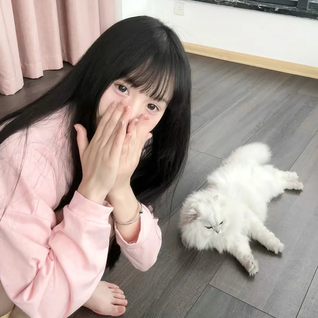 爱情像猫一样